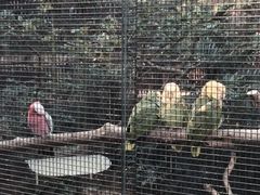 九龙公园-九龙公园