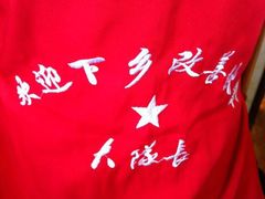 -重庆大队长火锅(凤城八路店)