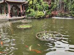 -碧江金楼