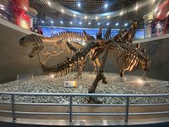 -国家自然博物馆