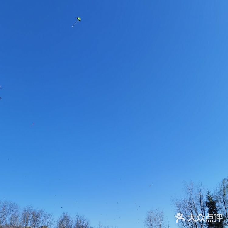 曲江休闲攻略！遛狗溜娃这里很行！不要钱