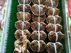 -大湾区中央湿地公园-十九涌