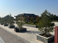 -洛阳古墓博物馆