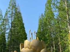 -东平国家森林公园
