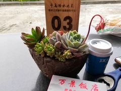 -万景饭店·鱼街农家菜