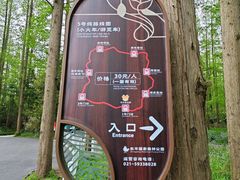 -东平国家森林公园