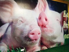 -chi K11艺术空间展览厅