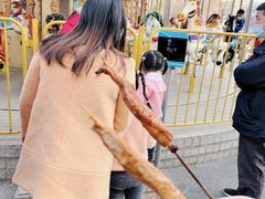 -成飞公园