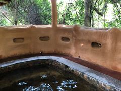 -天门沟九州驿站树上汤泉