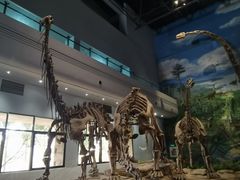 -自贡恐龙博物馆