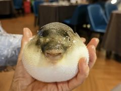 -肆月河豚·新淮扬(金融街店)
