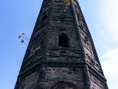 -上海佘山国家森林公园天马山园