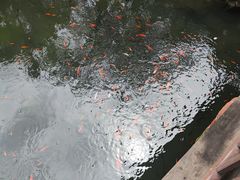 -三苏祠
