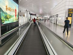 -郑州新郑国际机场-T2航站楼