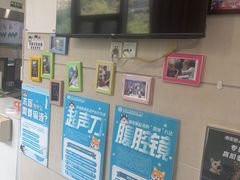 -谐和益家动物医院·免疫绝育·血液透析·宠保定点医院(高新伊藤分院)