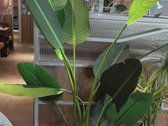 -湊湊火锅·茶憩(皇姑万象汇店)