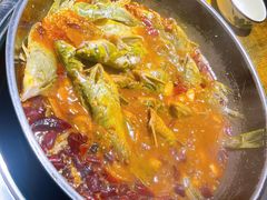 -青青河边草·小小河边鱼(万达广场太仓店)