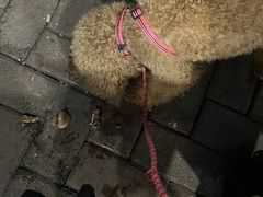 -香辉食馆(新兴路店)