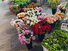 -循礼门鲜花花市(武汉循礼门店)