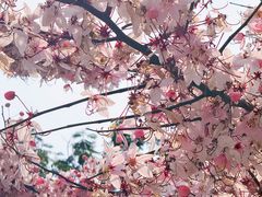 -白石龙音乐公园