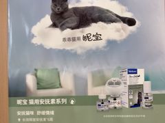 -米苏动物医院·犬猫专科·骨科外科内窥镜