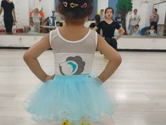 -陕西省小天鹅艺术团