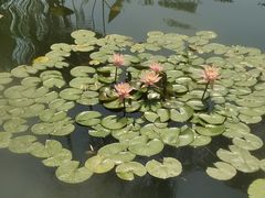 -文瀛公园
