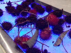 -杭州钱江新城万怡酒店-西餐厅