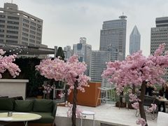 -城市露台景观餐厅(淮海路店)