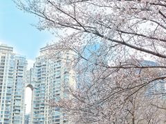 -西北湖绿化广场