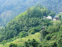-石台牯牛降景区