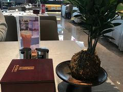 -晋江荣誉国际酒店·港誉茶餐厅