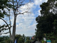 -天鹿湖森林公园