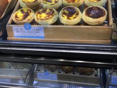 -蒲公英(五里店)