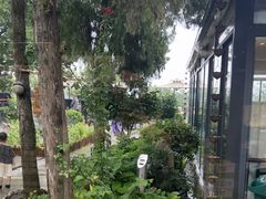 -蘇河湾·新鲁菜·泰山宴(泰山店)