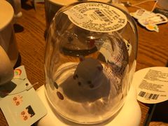 -星巴克(北京中关村北京国际店)