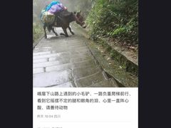 -峨眉山风景名胜区