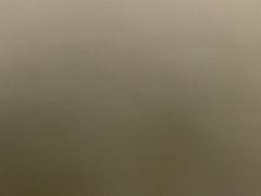 -高东镇樱花园
