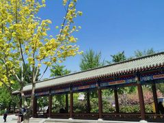 -莲花池公园