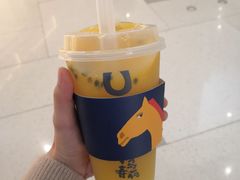 -春丽小马(济南恒隆广场店)