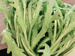 -不老仙金汤虾丸火锅