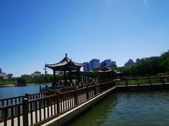 -莲花池公园