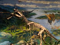 -自贡恐龙博物馆