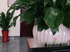 -张钰强中医正骨推拿连锁(唐家人才公寓店)
