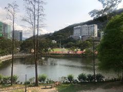 -大埔公路-马料水段香港中文大学(公交站)