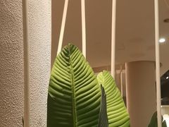 -莲餐厅·湖北菜·藕汤老手艺(愚园路店)