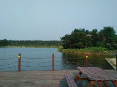 -崇明东平国家森林公园烧烤房车露营地