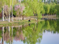 -大兴滨河森林公园