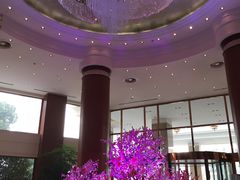 -上海圣淘沙万怡酒店