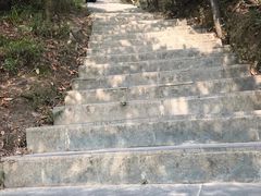 -梧桐山风景名胜区